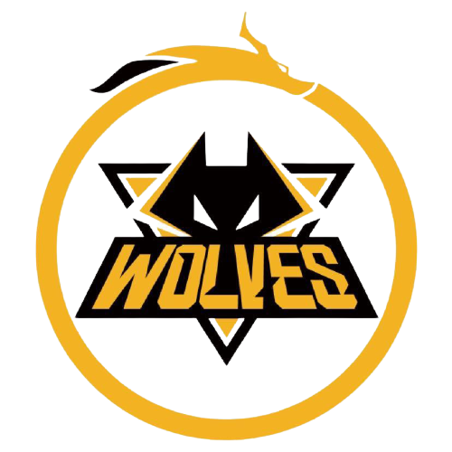 在这一方面 在这一方面